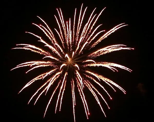 Dancing Display Fireworks Professional Pyrotechnics
